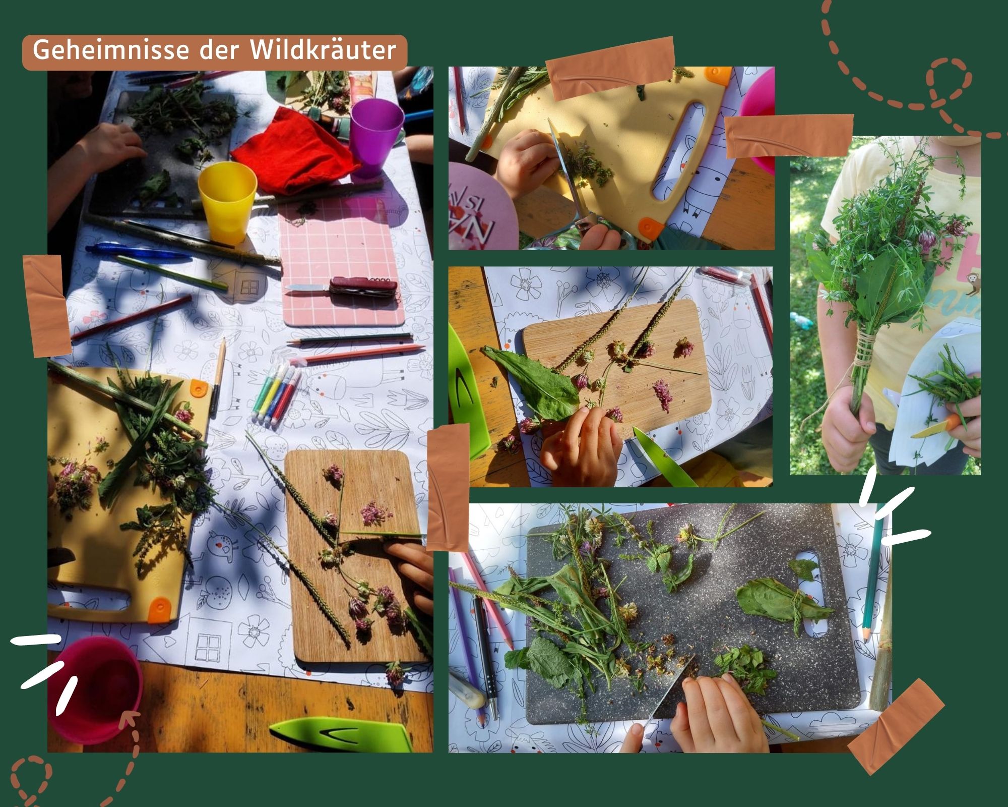 EIP FP 2023 Wildkraeuter